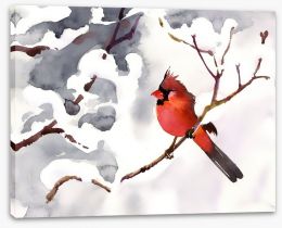 Red snow bird Stretched Canvas 57186402