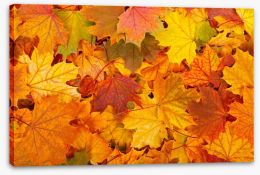 Autumn leaves Stretched Canvas 57303409