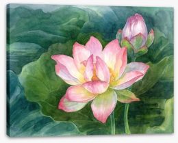 Lotus harmony Stretched Canvas 57493005