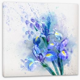 Watercolor iris Stretched Canvas 57523611