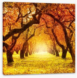 Autumn tree tunnel Stretched Canvas 57608668