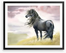 Black horse in the breeze Framed Art Print 57953424