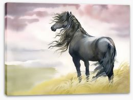 Black horse in the breeze Stretched Canvas 57953424