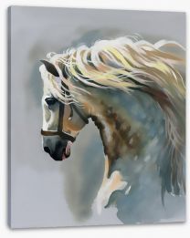 Canter Stretched Canvas 57953430