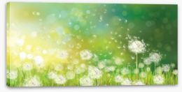 Dandelion wishes Stretched Canvas 58106384