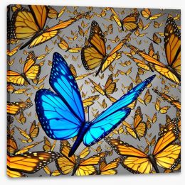 Lord of the butterflies Stretched Canvas 58230590