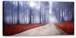 Forests Stretched Canvas 58438212