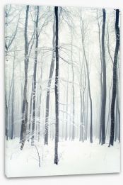 Winter forest Stretched Canvas 58438380