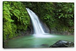 Rainforest cascades Stretched Canvas 58446357