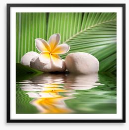 Frangipani and palm leaves Framed Art Print 58605545