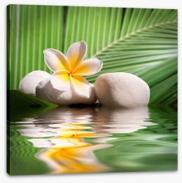 Frangipani and palm leaves Stretched Canvas 58605545