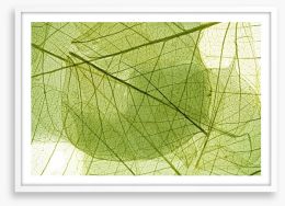Transparent leaves Framed Art Print 58647115