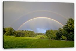 Rainbows Stretched Canvas 58817273