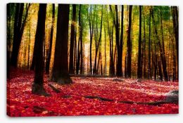 Autumn forest with golden light Stretched Canvas 58997773