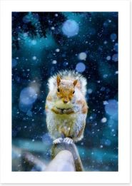 Red squirrel in the snow Art Print 59011075