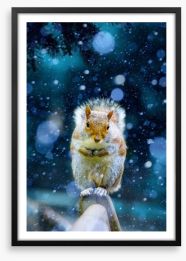 Red squirrel in the snow Framed Art Print 59011075
