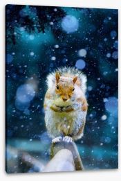 Red squirrel in the snow Stretched Canvas 59011075