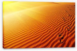 Desert Stretched Canvas 59125117