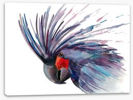 Birds Stretched Canvas 59142889