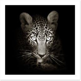 The intense leopard Art Print 59211871