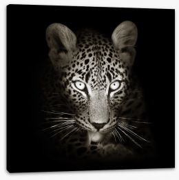 The intense leopard Stretched Canvas 59211871