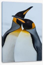King Penguins cuddle Stretched Canvas 59571055