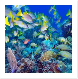 Underwater Art Print 59582667
