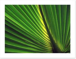 Iridescent palm Art Print 59783635