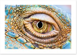 Reptiles / Amphibian Art Print 59796756