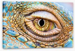 Reptiles / Amphibian Stretched Canvas 59796756