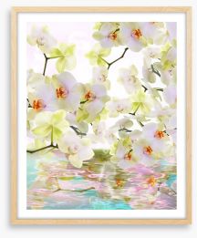 Japanese orchid reflections Framed Art Print 59983337