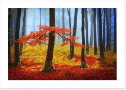 Forests Art Print 59986620