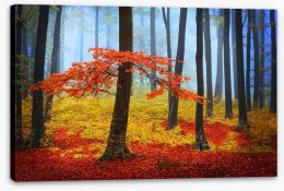 Forests Stretched Canvas 59986620