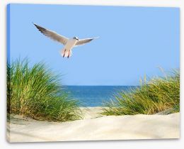 Sand dunes and seagull Stretched Canvas 60039027