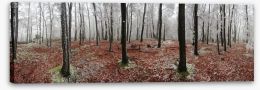 Winter forest panorama Stretched Canvas 60040691