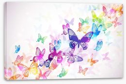 Butterfly rainbow Stretched Canvas 60051667