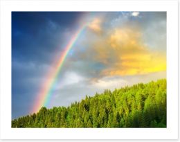 Rainbows Art Print 60144145