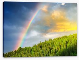 Rainbows Stretched Canvas 60144145