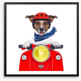 Joy rider Framed Art Print 60214975