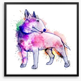 Bull terrier splash Framed Art Print 60230557