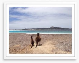 Beach kangaroos Framed Art Print 60247760