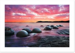 Moeraki boulders at dusk Art Print 60516353
