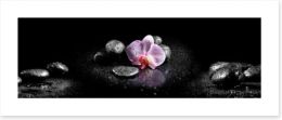 Orchids and stones panoramic Art Print 60629892