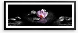 Orchids and stones panoramic Framed Art Print 60629892
