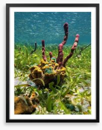 Underwater Framed Art Print 60633106