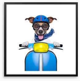 Delivery dog Framed Art Print 60693555
