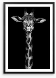 Giraffe in black and white Framed Art Print 60752164