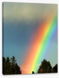 Rainbows Stretched Canvas 60787745