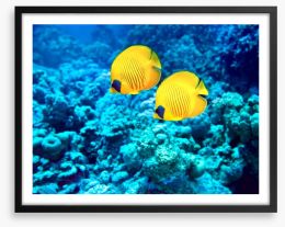 Yellow coral fish Framed Art Print 60962801