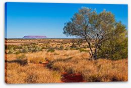 The trail to Uluru Stretched Canvas 61042613